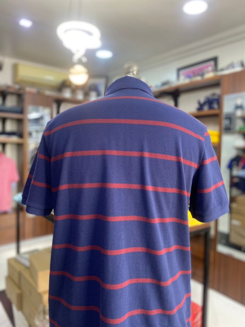 Polo bear stripe